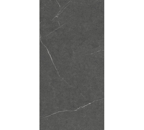 GT1206014305MCR Керамогранит Lakeside черный матовый 60x120