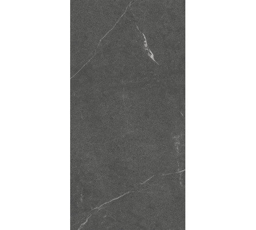 GT1206014305MCR Керамогранит Lakeside черный матовый 60x120