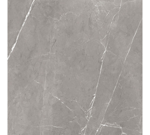 GT60603001MCR Керамогранит Encanto серый матовый 60x60