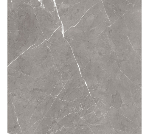 GT60603001MCR Керамогранит Encanto серый матовый 60x60