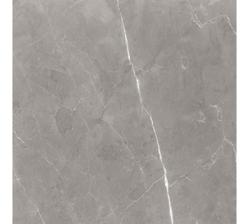 GT60603001MCR Керамогранит Encanto серый матовый 60x60