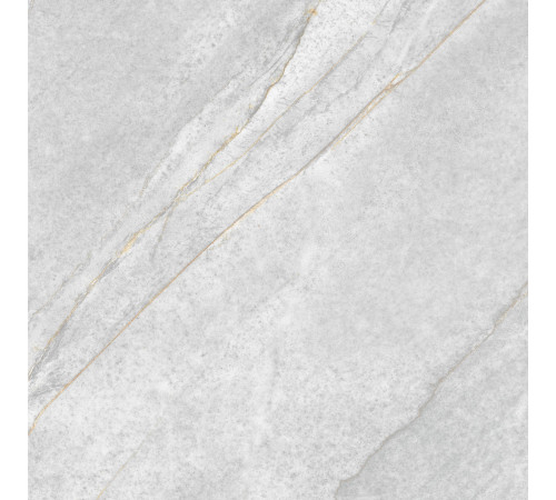 GT606015501SPR Керамогранит Donna серый лаппатированный 60x60